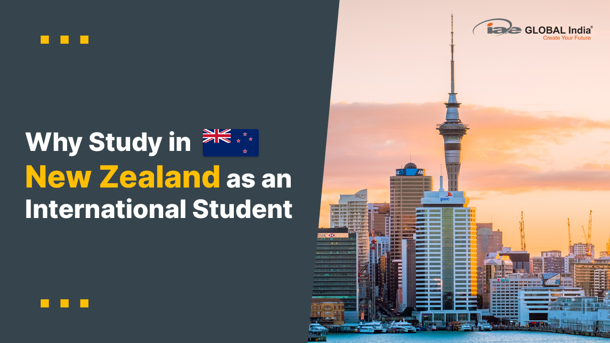 Why Study in New Zealand as an International Student