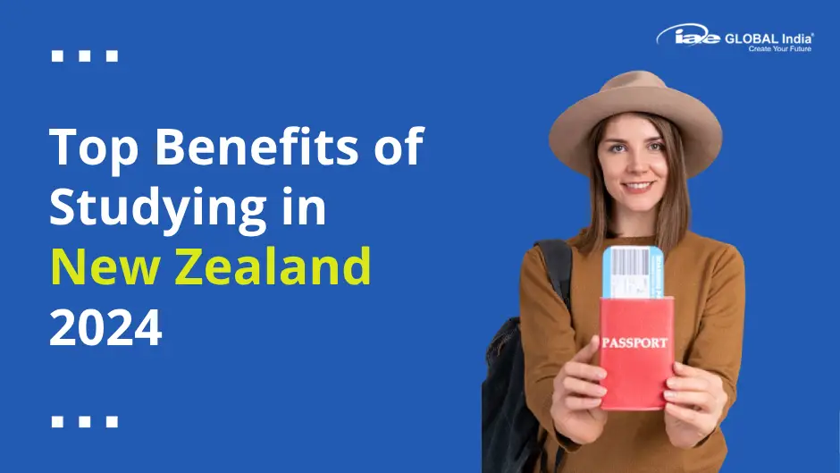 Top Benefits of Studying in New Zealand 2024